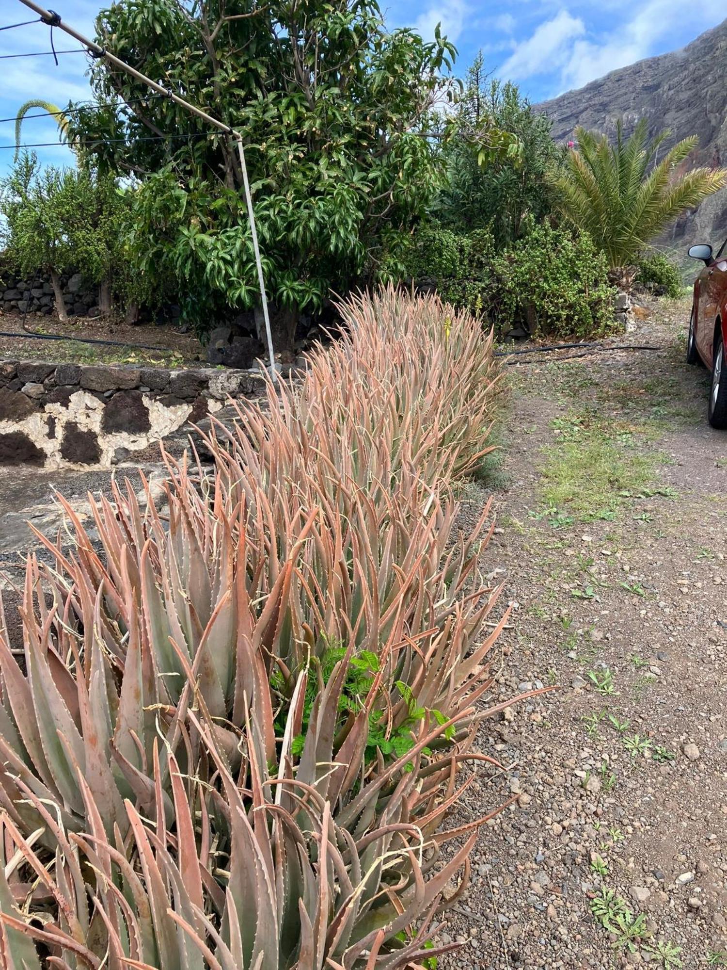 Casa Nela. Rural Y Acogedora En Las Puntas El Hierro Frontera Eksteriør billede