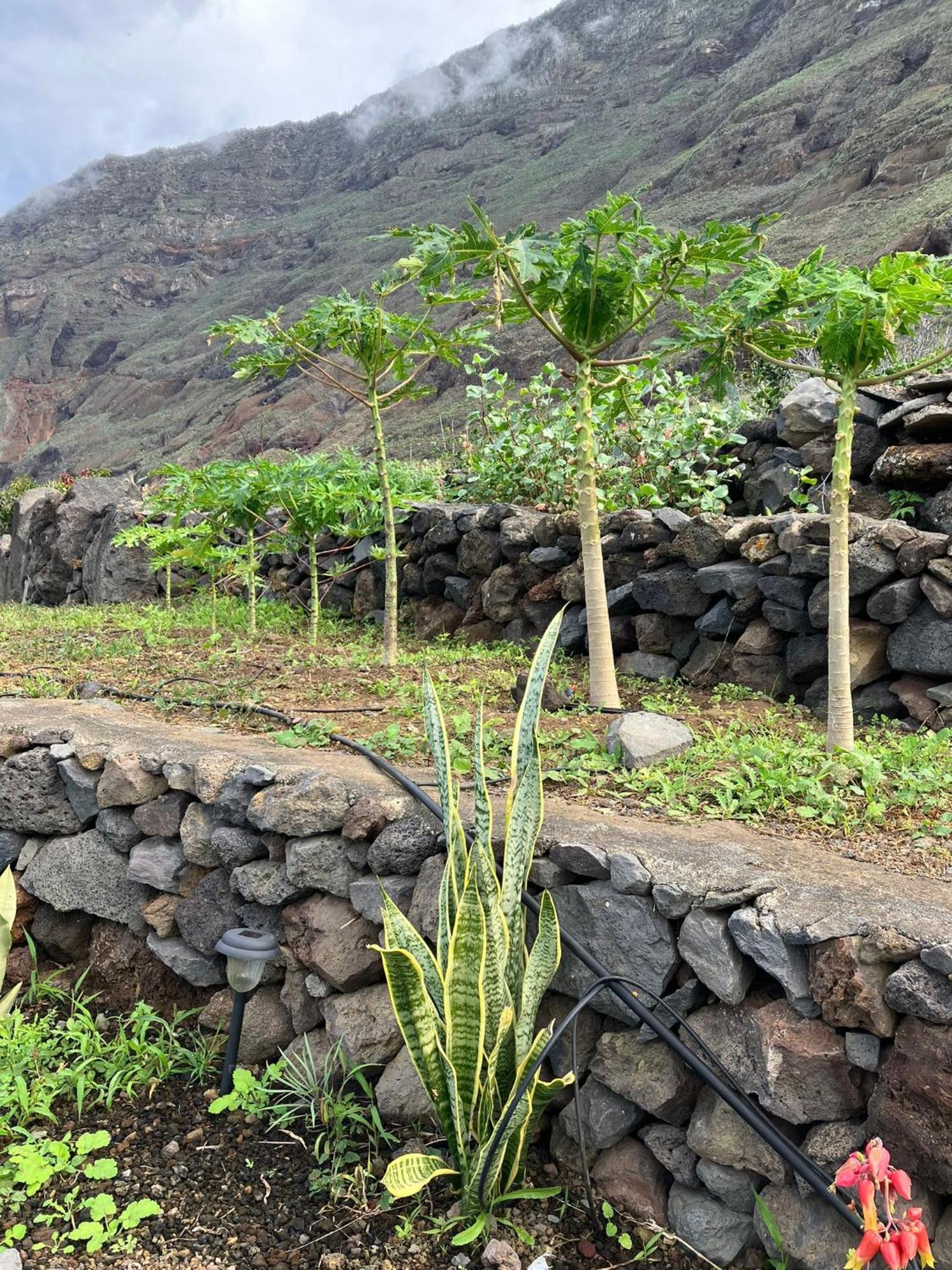 Casa Nela. Rural Y Acogedora En Las Puntas El Hierro Frontera Eksteriør billede
